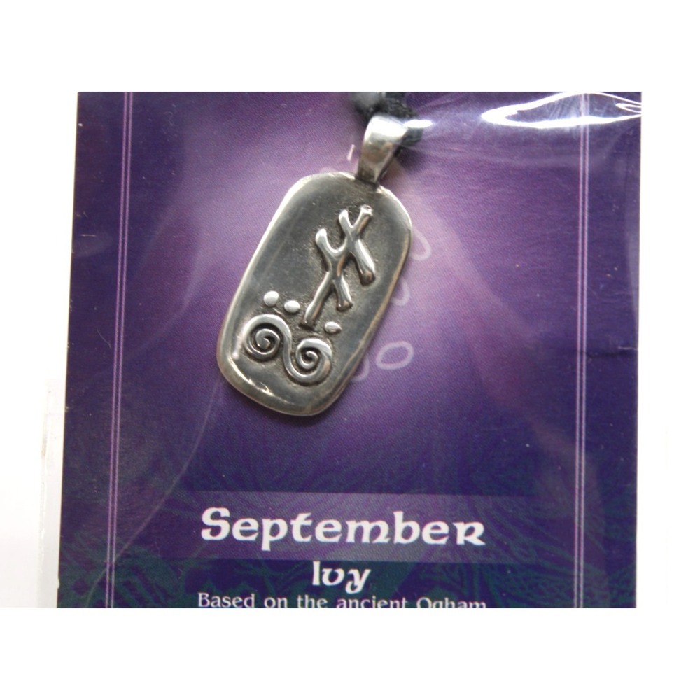 SEPTEMBER Irish Pewter Celtic Astrology Pendant Corded Necklace - Ivy Symbol NEW - Picture 2 of 4